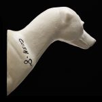 COYOTE SHOULDER COSH-8