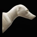 COYOTE SHOULDER COSH-9