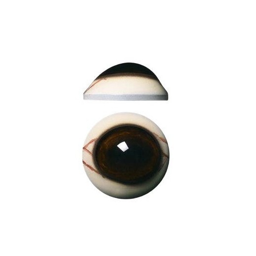 eye-218 DEER EYES- 32mm Defined Cornea + Veins Medium - Image 1