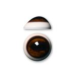 ELK EYES- 34mm Forward Look Medium