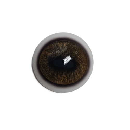 eye-5 DEER EYES- 28mm Optech White Base (Discontinued Tohickon- Only 13 pairs left!) - Image 1