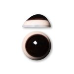 ANTELOPE EYES- 34mm Forward Look Dark