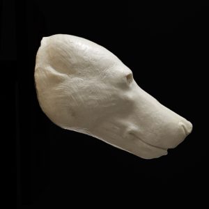 GRIZZLY BEAR CHANGE OUT HEAD GBCOH