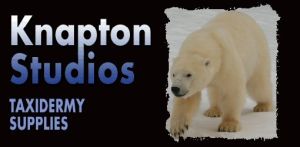 Knapton Studios taxidermy supplies