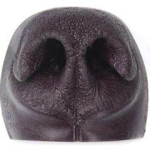 BLACK BEAR NOSE- Extra Small