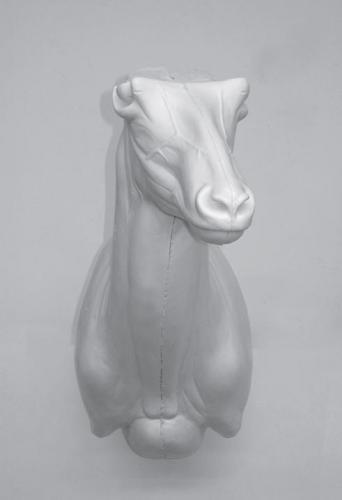 ANTELOPE-A8 ANTELOPE-A8