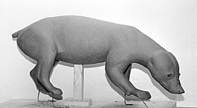 BADGER-B27 BADGER - B27