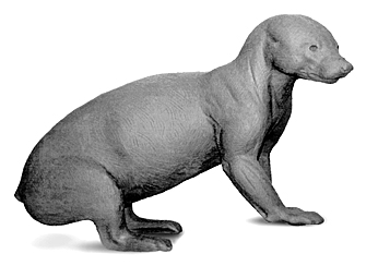 BADGER-B29 BADGER - B29