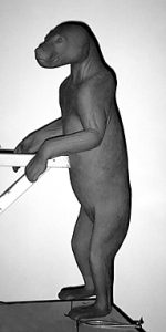 BEAR-BLACK-BB132 BEAR - Black-BB132