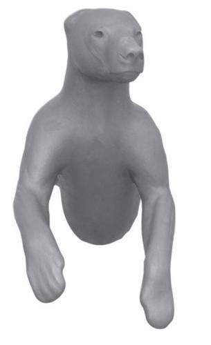 BEAR-Black-RB26 BEAR-Black-RB26