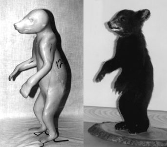 BEAR-BLACK-BB121 BEAR - Black-BB121