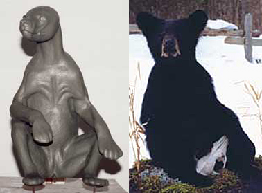 BEAR-BLACK-BB131 BEAR - Black-BB131