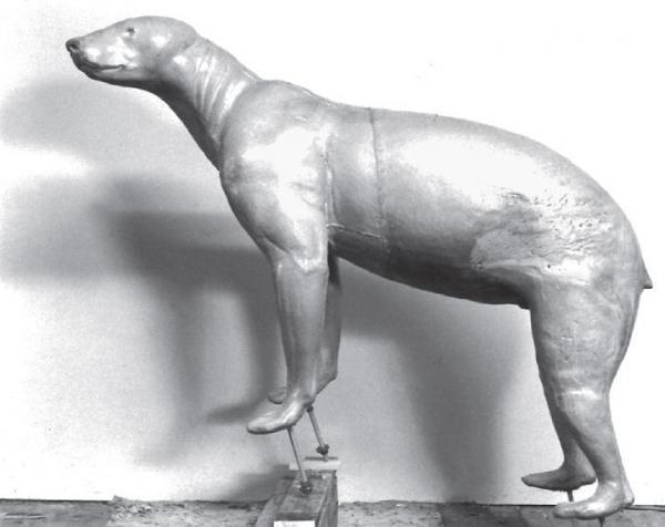 BEAR - Black-BB165 BEAR - Black-BB165