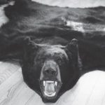 BEAR - Black -BBRS-3