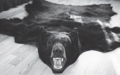 BEAR - Black -BBRS-3