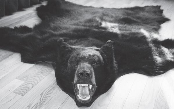 BEAR - Black -BBRS-3 BEAR - Black -BBRS-3