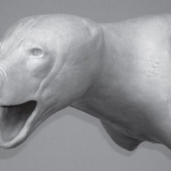 BEAR - Black Shoulder - BBSH-12