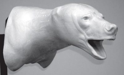 BEAR - Black Shoulder - BBSH-13