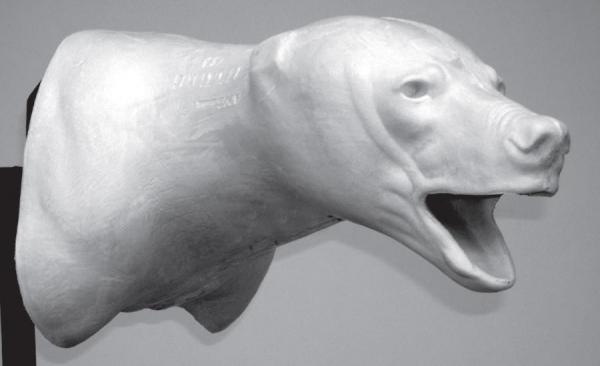 BEAR - Black Shoulder - BBSH-13 BEAR - Black Shoulder - BBSH-13