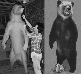 BEAR - Coastal Brown-CBB190