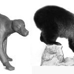 BEAR - Grizzly-GB158