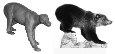 BEAR - Grizzly-GB158