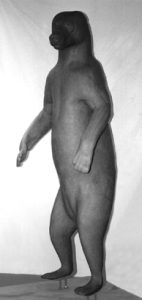 BEAR - Grizzly-GB167