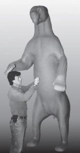 BEAR - POLAR-PB102 BEAR - Polar-PB102