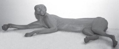 BOBCAT-BC29 BOBCAT-BC29