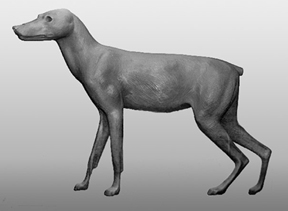 COYOTE-C32 COYOTE-C32