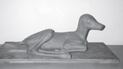 DEER-White-Tail-FAWN-WTD223 DEER - WhiteTail-WTD223