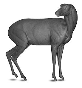 DEER-White-Tail-BUCK-WTD267 DEER - WhiteTail-WTD267