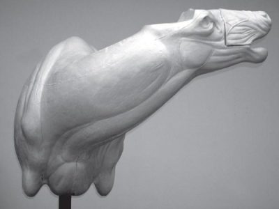 ELK-ELK-129 Elk-Elk129