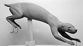 FISHER-FS24-R FISHER-FS24-R