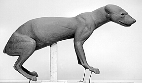 FISHER-FS24 FISHER-FS24