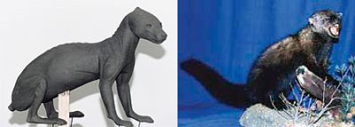 FISHER-FS26 FISHER-FS26