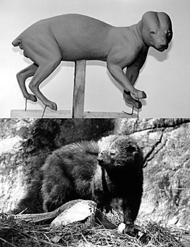 FISHER-FS27 FISHER-FS27