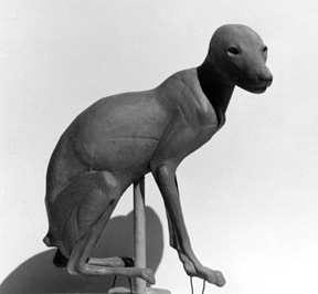 FOX-Arctic-AF22 FOX - Arctic-AF22