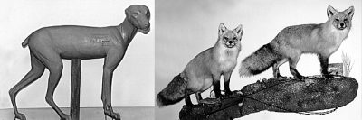 FOX-Red-RF24 FOX - Red-RF24