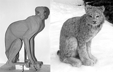 LYNX - LX32 LYNX - LX32