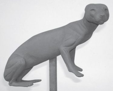 MARTEN-M19 MARTEN-M19