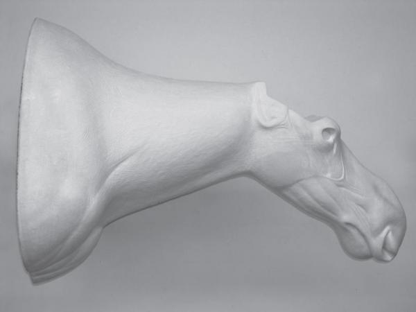 MOOSE - BULL-MSH-10 MOOSE - BULL-MSH-10