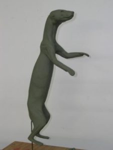 MARTEN-M17-A MARTEN-M17-A