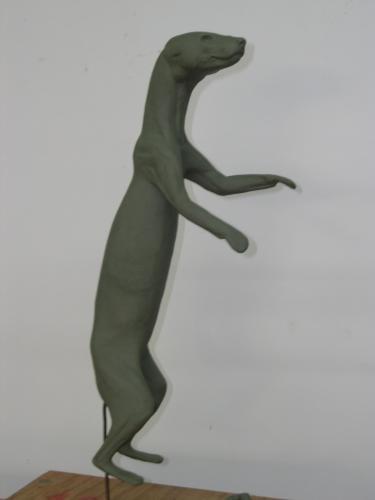 MARTEN-M17-A MARTEN-M17-A