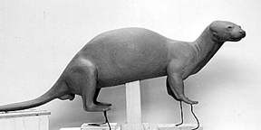 OTTER-O25 OTTER - O25