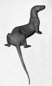 OTTER-O27 OTTER - O27