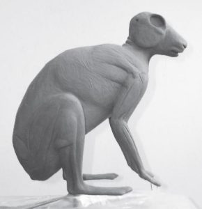 RABBIT-SNOWSHOE-SR1 RABBIT-SNOWSHOE-SR1