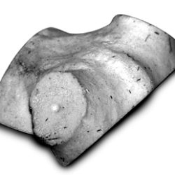 SHED ANTLER MOUNTING PLATE-KSMP1