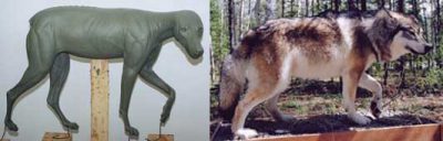 TIMBER WOLF-TW346 TIMBER WOLF-TW346