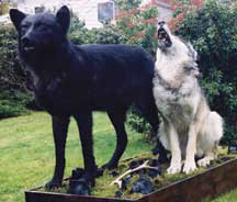 TIMBER WOLF-TW347-H TIMBER WOLF-TW347-H